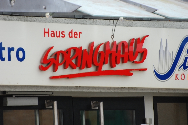 Springmaus | Copyright: Franz Fischer